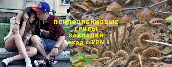 2c-b Алзамай