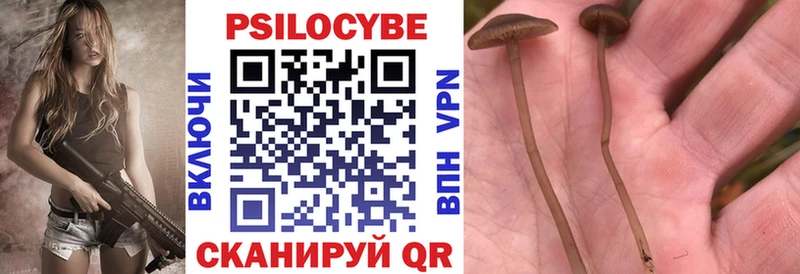 Псилоцибиновые грибы мицелий  Покров 